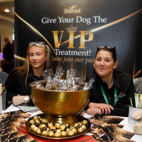 Chesterfield Business Expo <br>12th March 2026<br>10.00am - 3.00pm